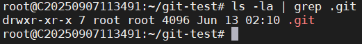 git-test-ls-dotgit