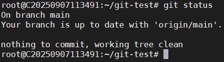 nothing-to-commit