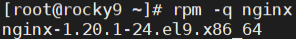 image-20260518161937017