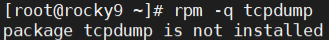 image-20260520141944976